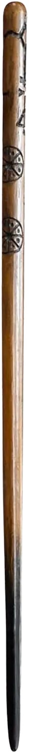 baguette de Cedric Diggory