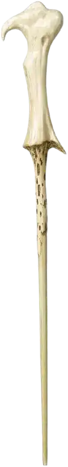 Consulter la fiche détaillée de la baguette de Tom Jedusor